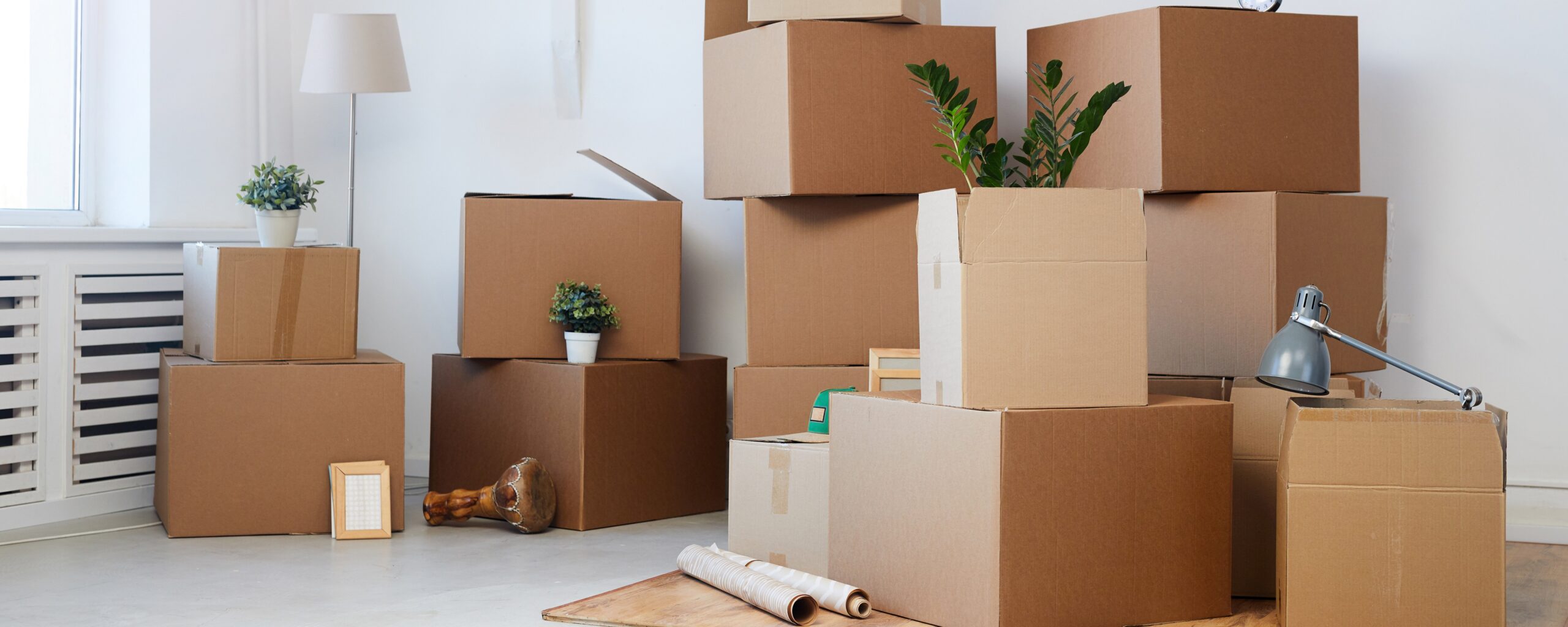 Moving Boxes